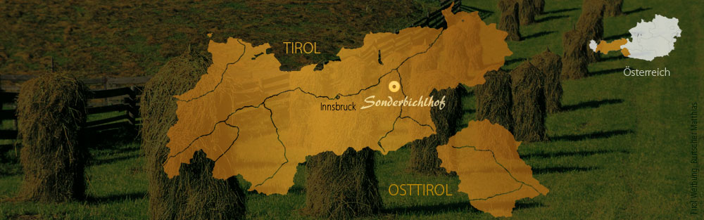 Lage des Sonderbichlhofs im Zillertal